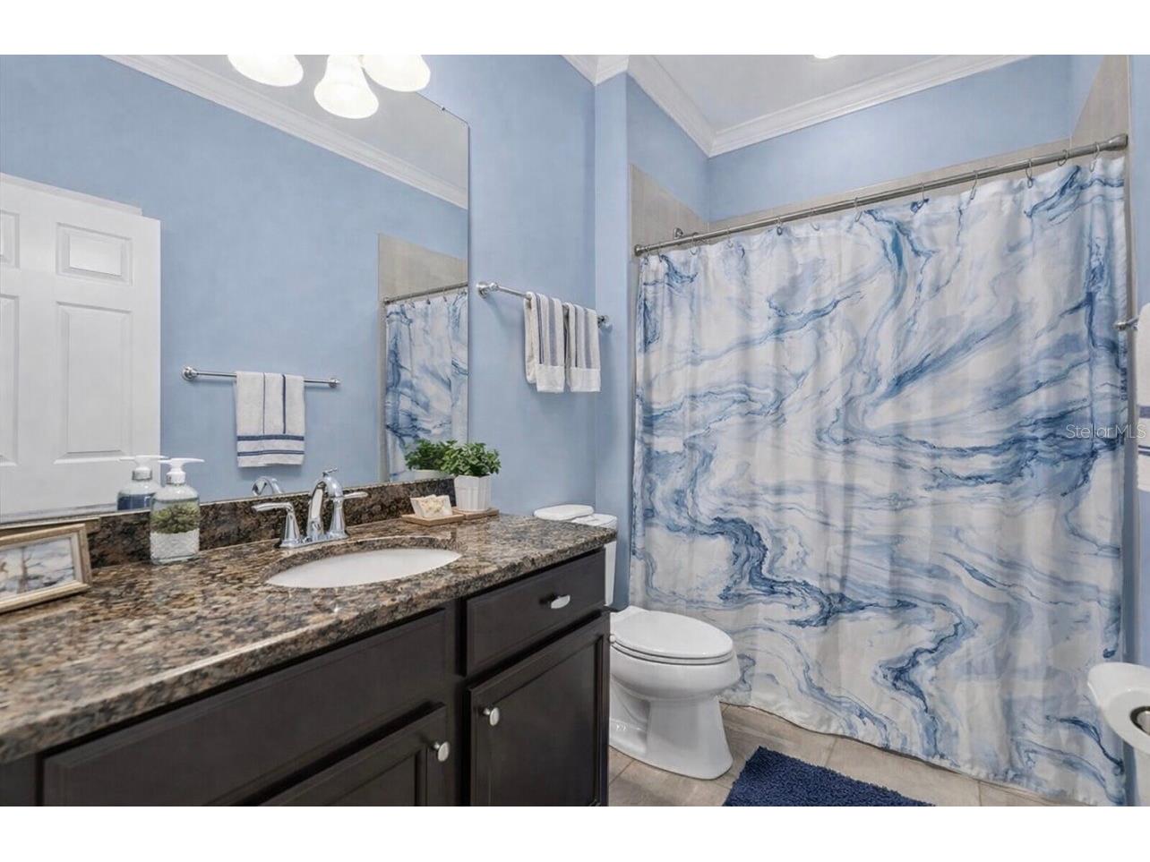 10223 Caraway Spice Avenue Riverview FL 33578 TB8471688 image19