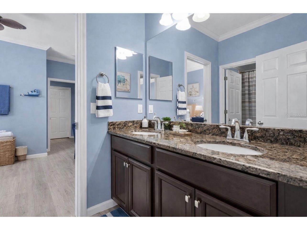 10223 Caraway Spice Avenue Riverview FL 33578 TB8471688 image22