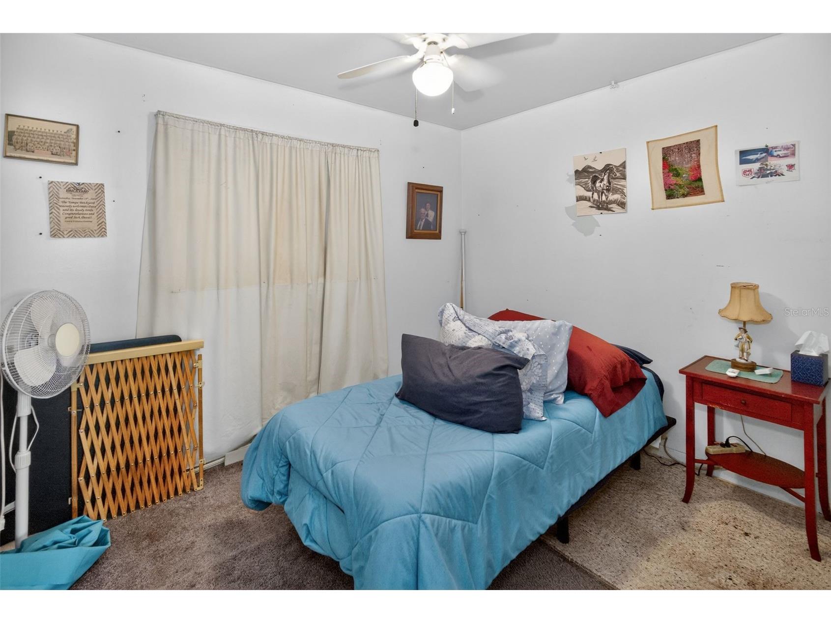 10223 N Armenia Avenue Tampa FL 33612 O6393363 image19