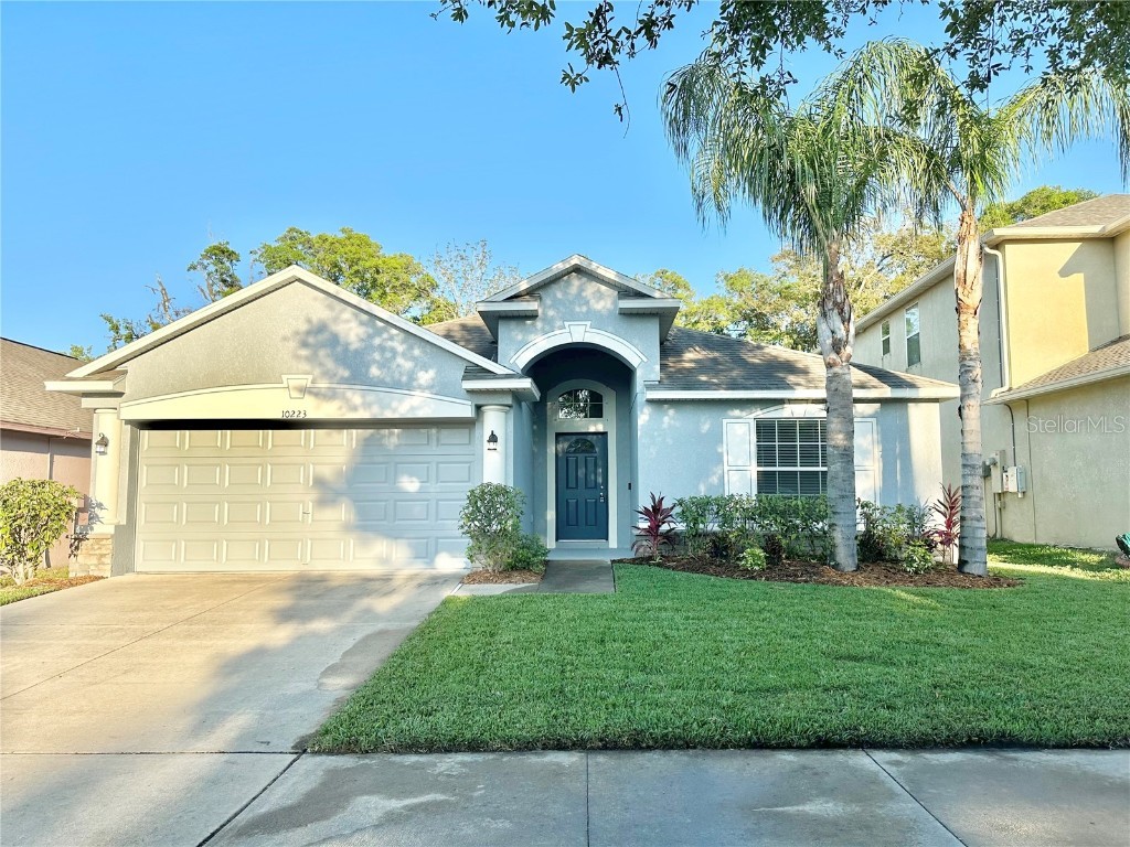 10223 Summer Azure Drive Riverview FL 33578 T3433655 image1