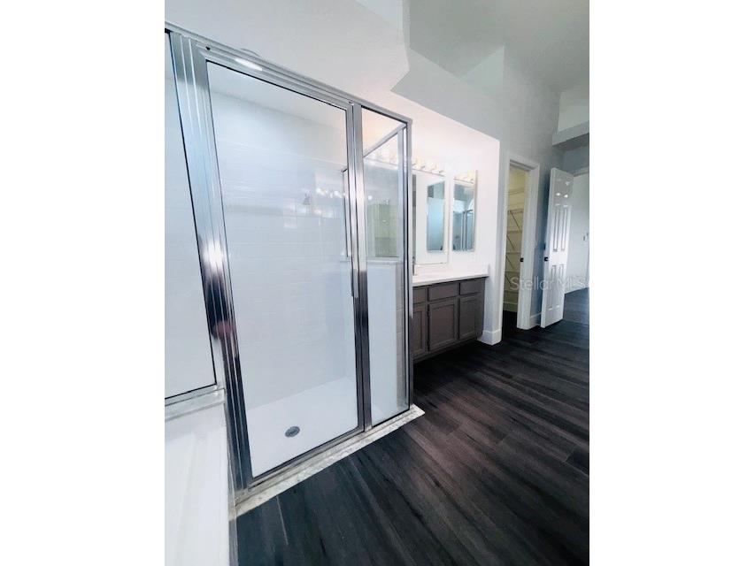 10223 Tarragon Drive Riverview FL 33569 TB8445345 image21