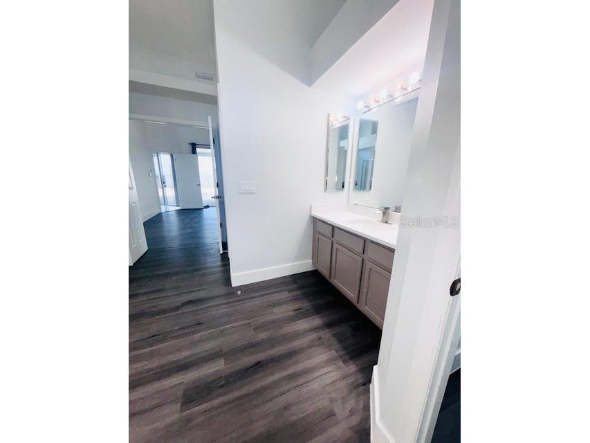 10223 Tarragon Drive Riverview FL 33569 TB8445345 image22