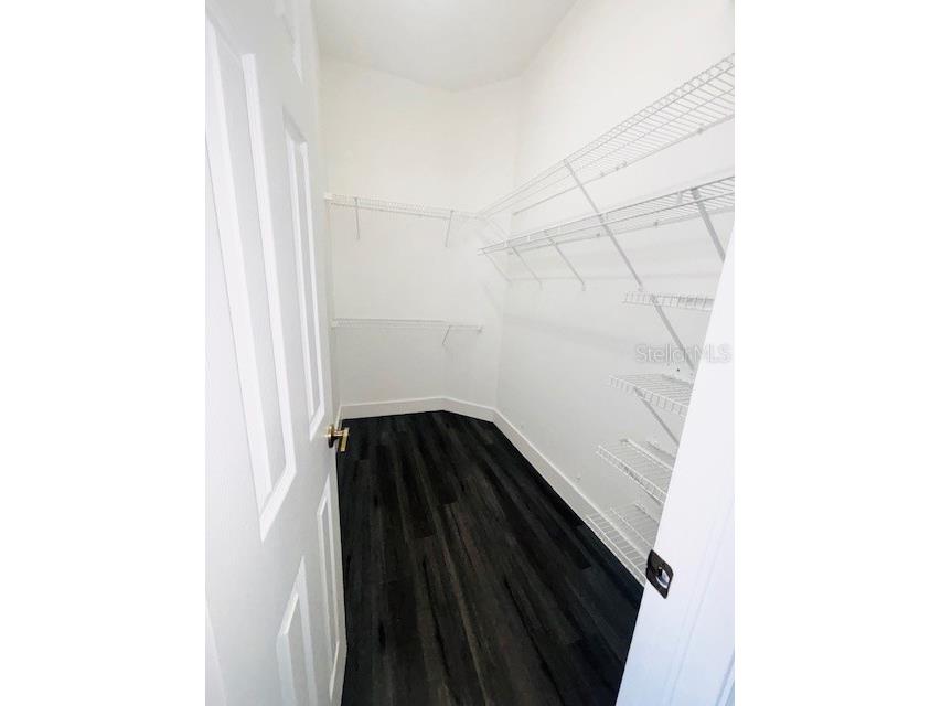 10223 Tarragon Drive Riverview FL 33569 TB8445345 image24