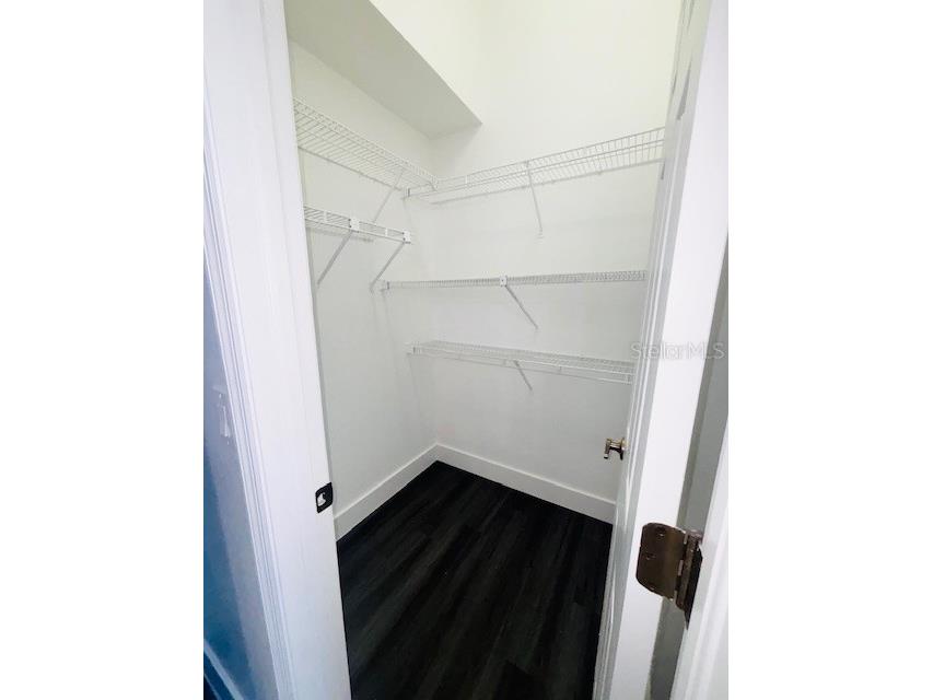 10223 Tarragon Drive Riverview FL 33569 TB8445345 image25