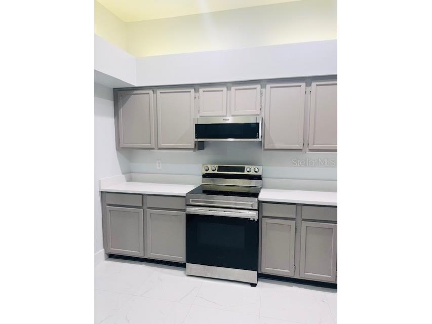 10223 Tarragon Drive Riverview FL 33569 TB8445345 image5