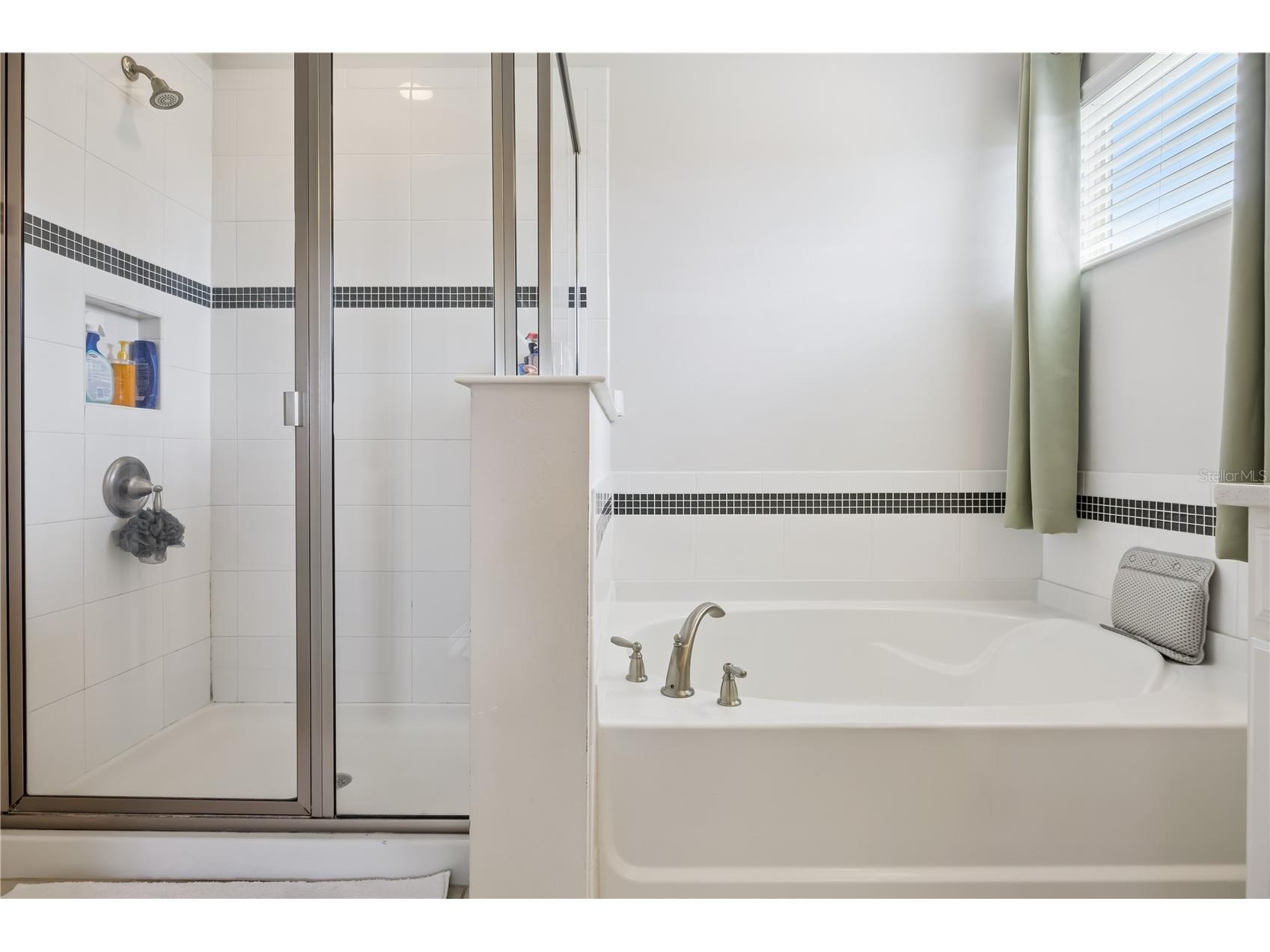 10224 Atwater Bay Drive Winter Garden FL 34787 S5147252 image26