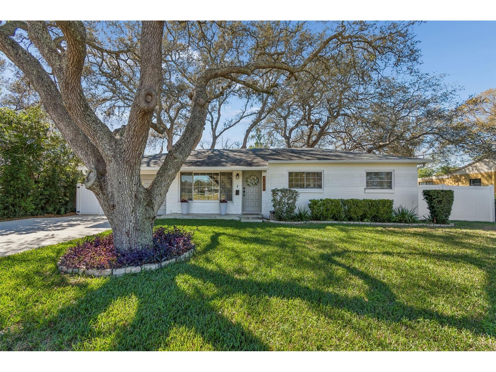 10224 N Oakleaf Avenue Tampa FL 33612 TB8478924 image1