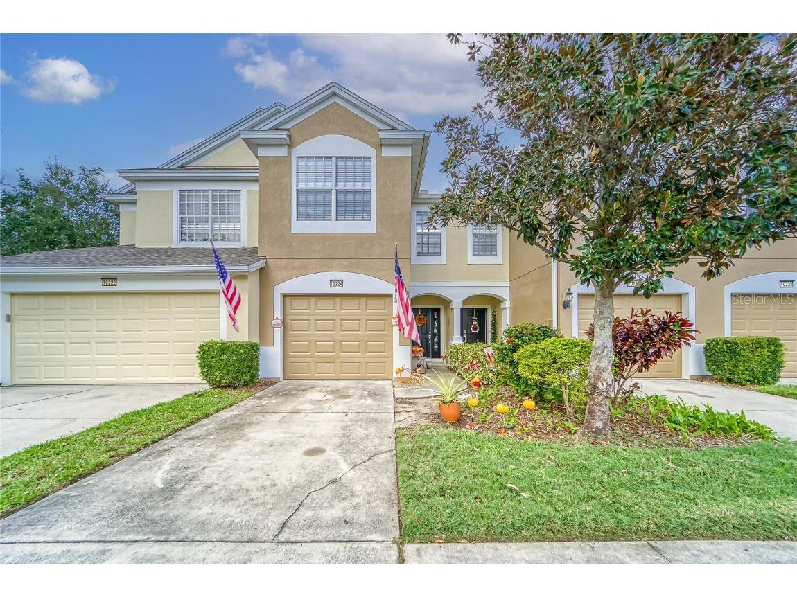 10224 Pink Palmata Court Riverview FL 33578 T3412910 image1