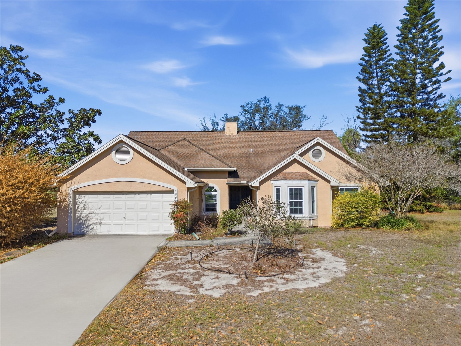 10225 Evening Trail Drive Riverview FL 33569 O6384758 image1