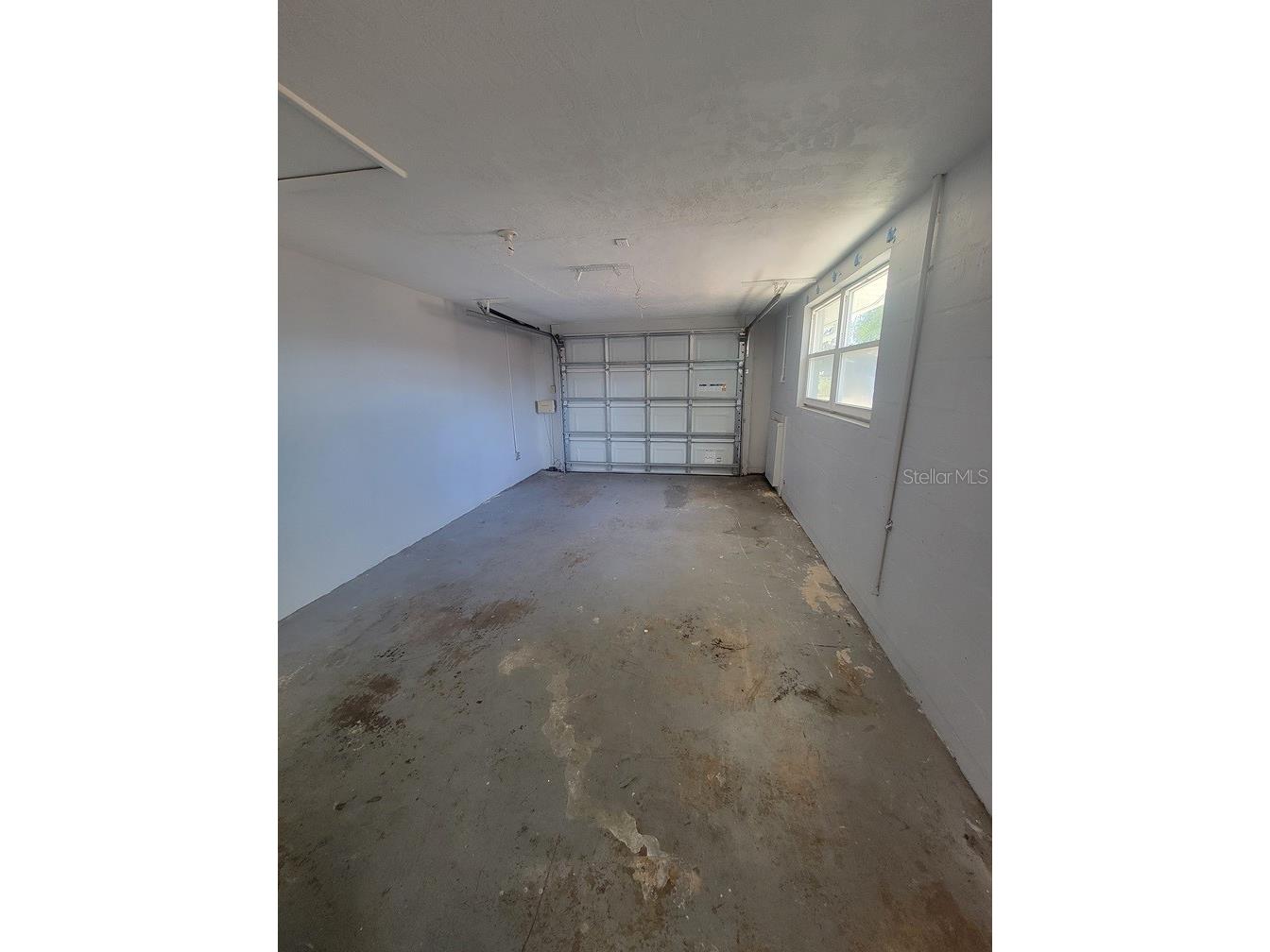 10225 Gardenia Lane Port Richey FL 34668 W7884905 image15