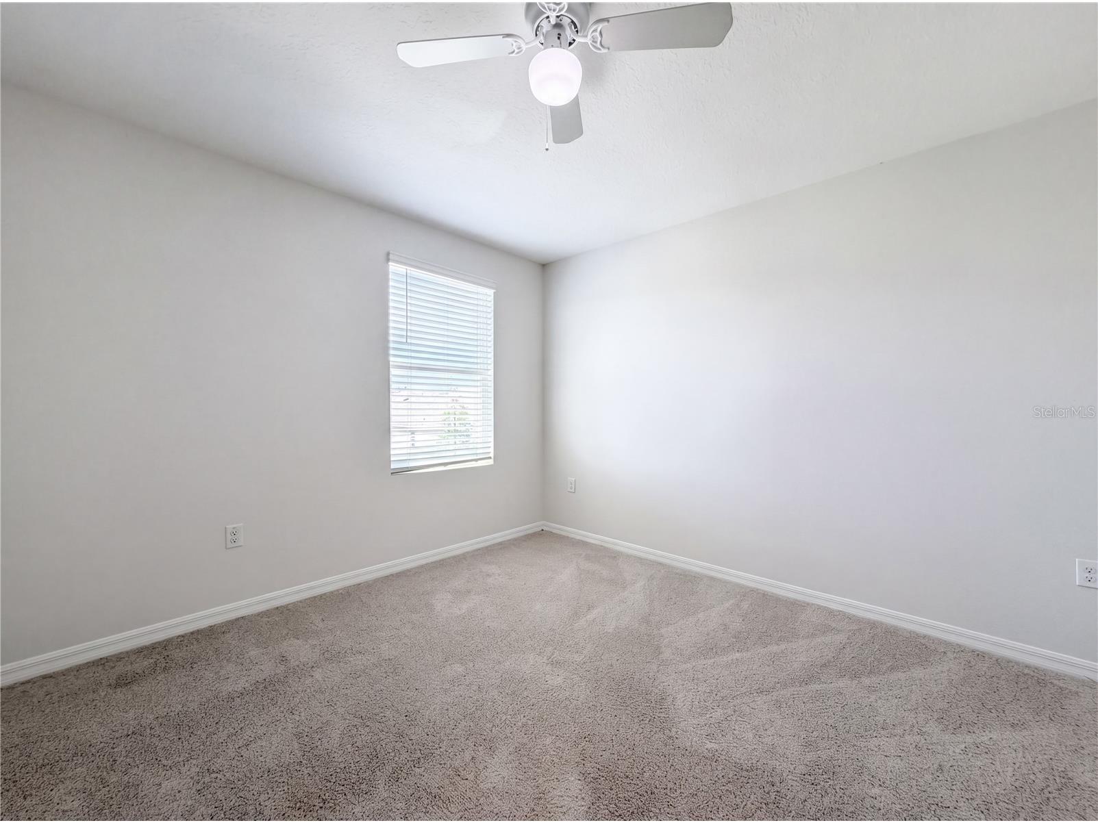 10225 Mangrove Well Road Sun City Center FL 33573 O6399096 image18