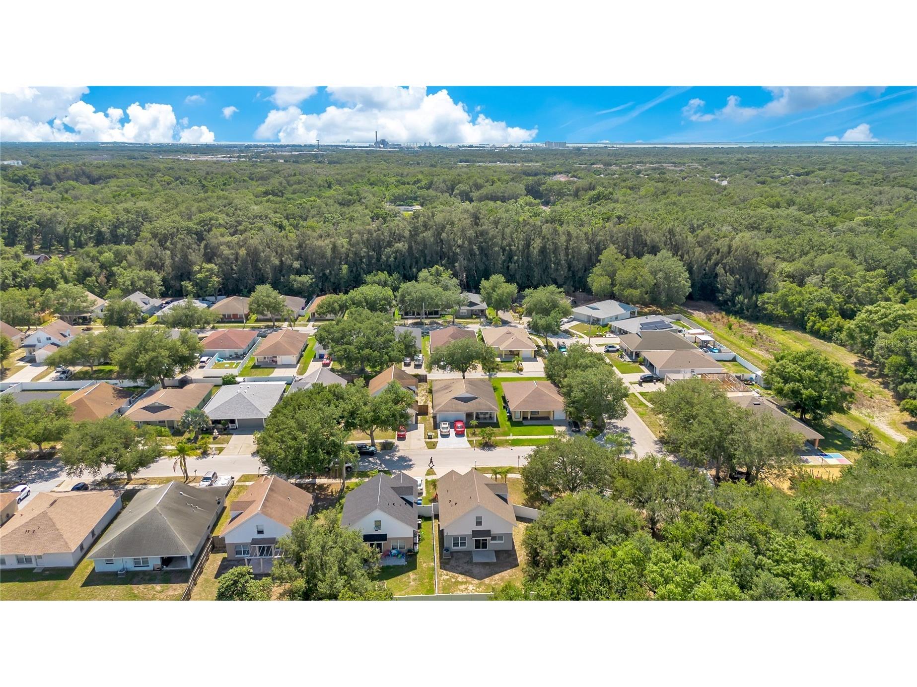 10225 Summerview Circle Riverview FL 33578 O6416240 image29