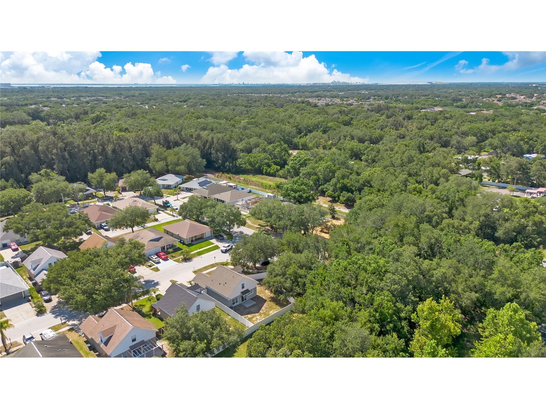 10225 Summerview Circle Riverview FL 33578 O6416240 image30