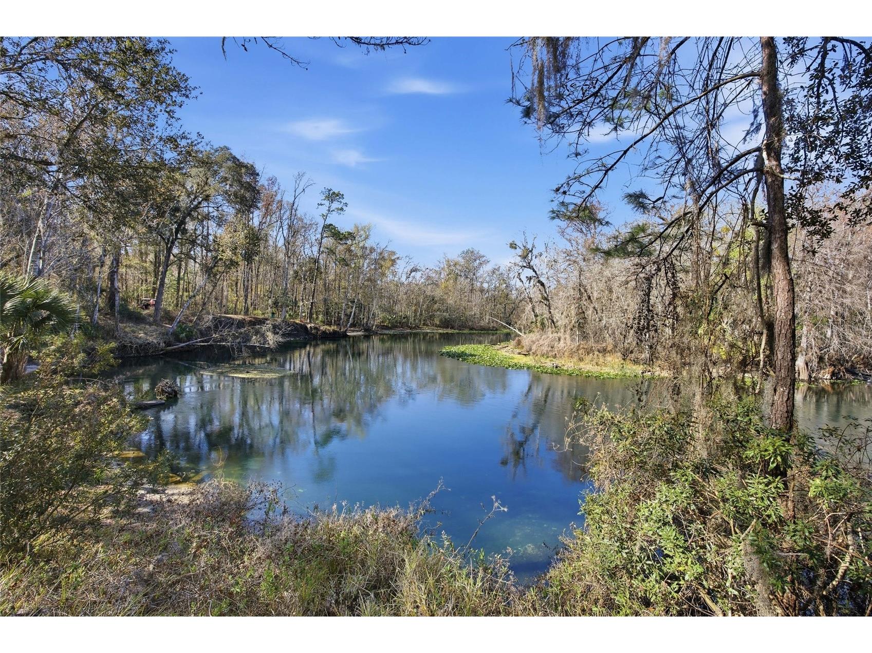 10226 NE 28th Loop #LOT 62 Silver Springs FL 34488 - OCKLAWAHA RIVER OM718924 image15