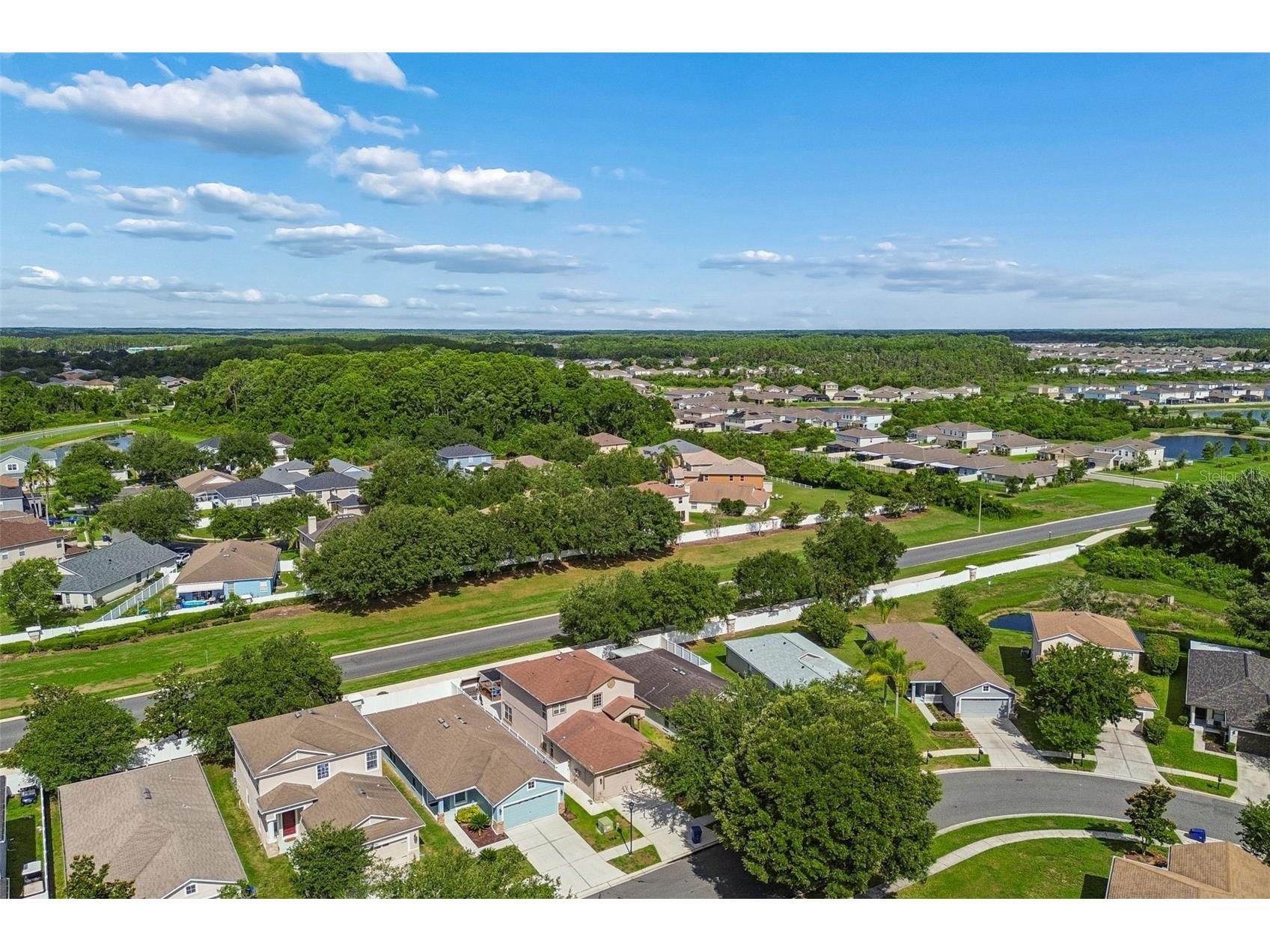 10226 Perthshire Circle Land O Lakes FL 34638 W7886113 image29