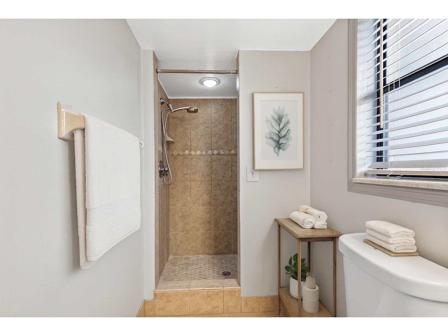 10226 Seminole Island Drive Largo FL 33773 - LAKE SEMINOLE TB8421691 image26