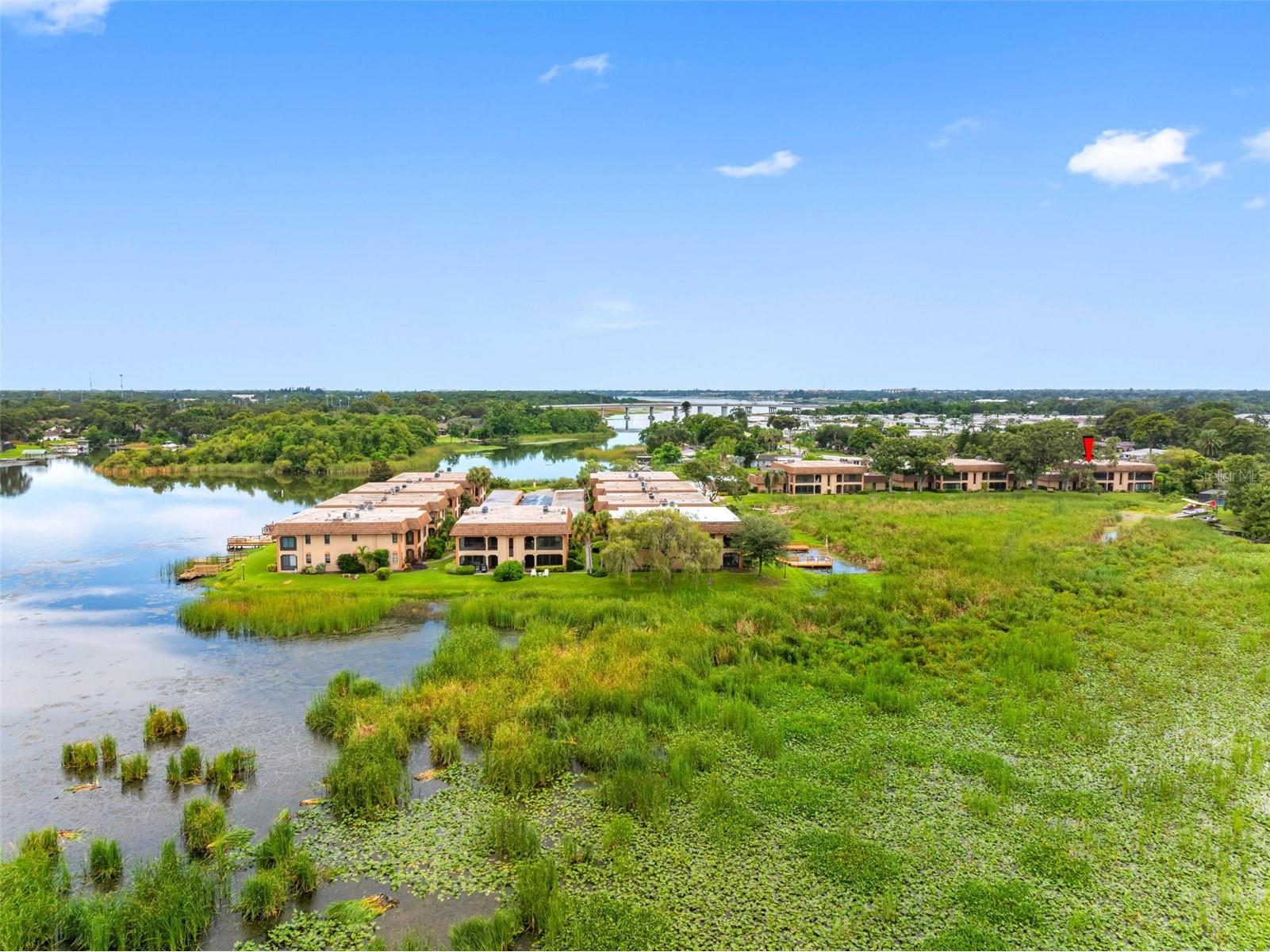 10226 Seminole Island Drive Largo FL 33773 - LAKE SEMINOLE TB8421691 image32