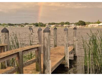 10226 Seminole Island Drive Largo FL 33773 - LAKE SEMINOLE TB8421691 image36