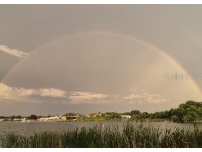 10226 Seminole Island Drive Largo FL 33773 - LAKE SEMINOLE TB8421691 image37