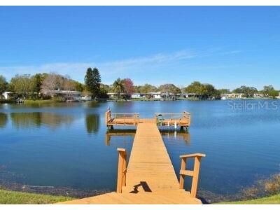 10226 Seminole Island Drive Largo FL 33773 - LAKE SEMINOLE TB8421691 image6