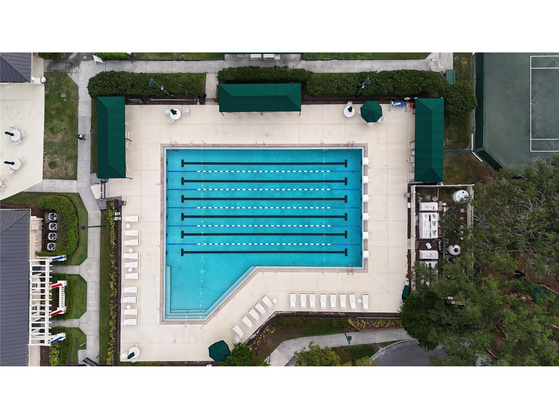 10226 Timberland Point Drive Tampa FL 33647 TB8525913 image40