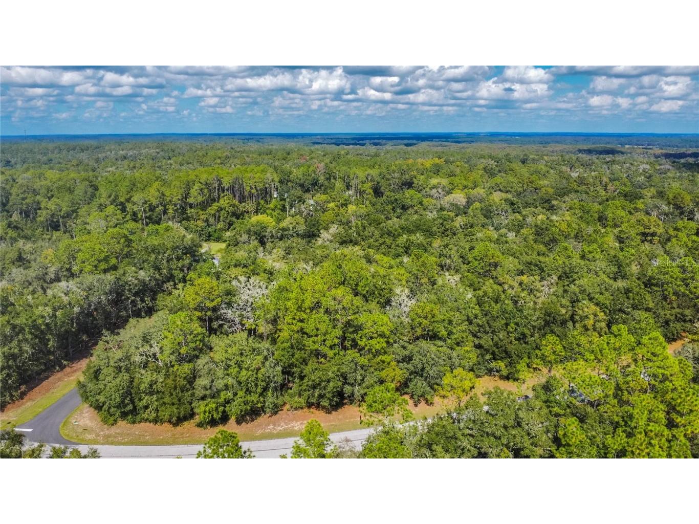 10227 N Athenia Drive Citrus Springs FL 34434 TB8447954 image1