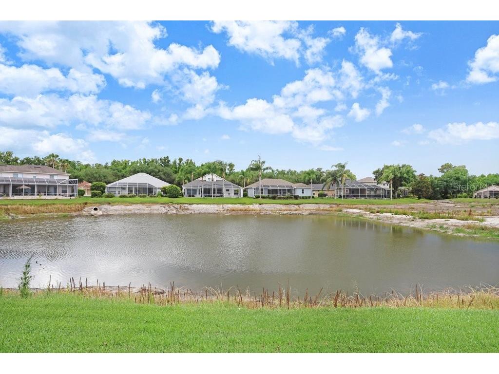 10227 Quails Landing Avenue Tampa FL 33647 TB8524343 image35