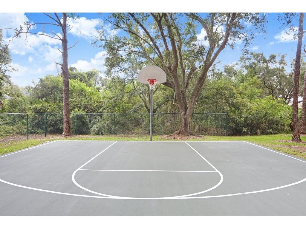 10227 Quails Landing Avenue Tampa FL 33647 TB8524343 image56
