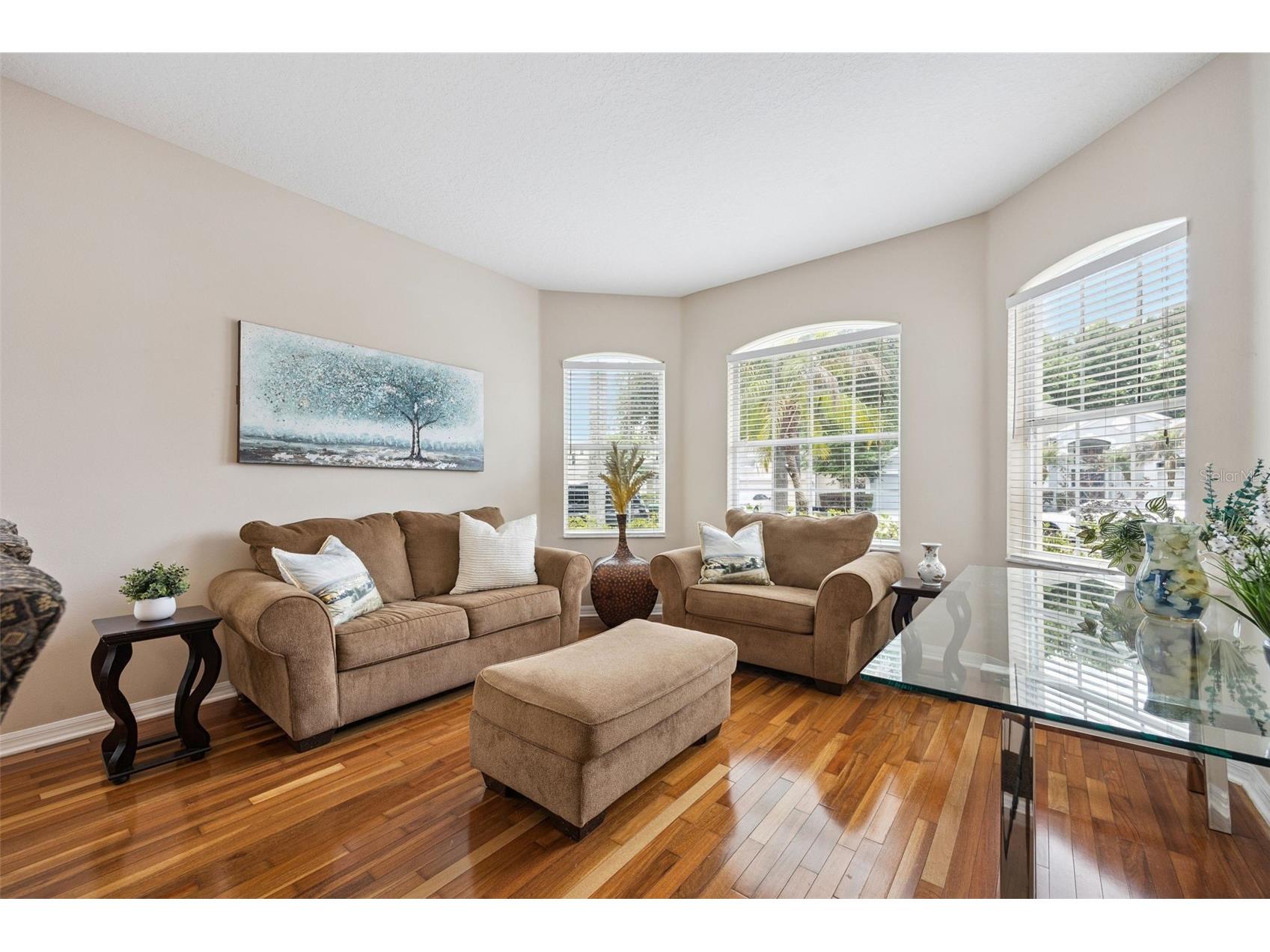 10227 Sandy Marsh Lane Orlando FL 32832 O6404252 image17