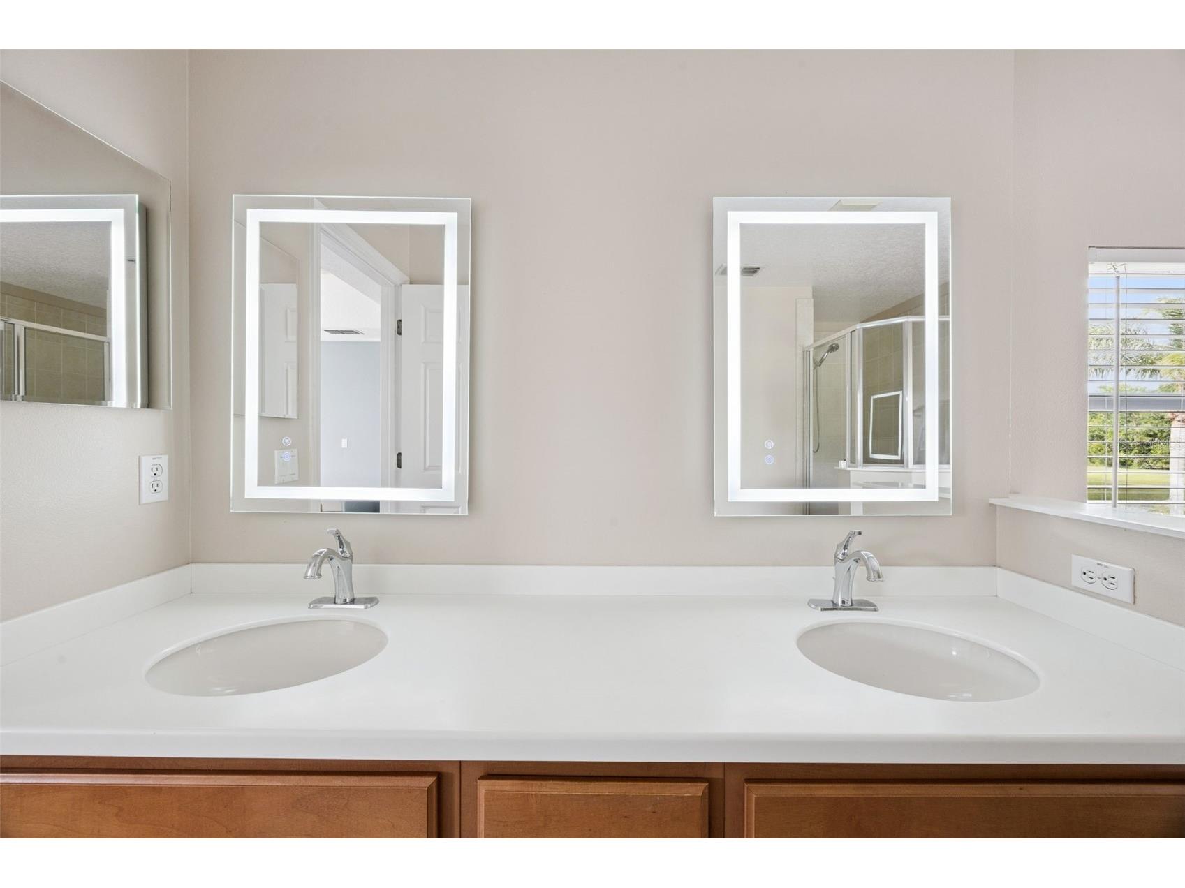 10227 Sandy Marsh Lane Orlando FL 32832 O6404252 image53