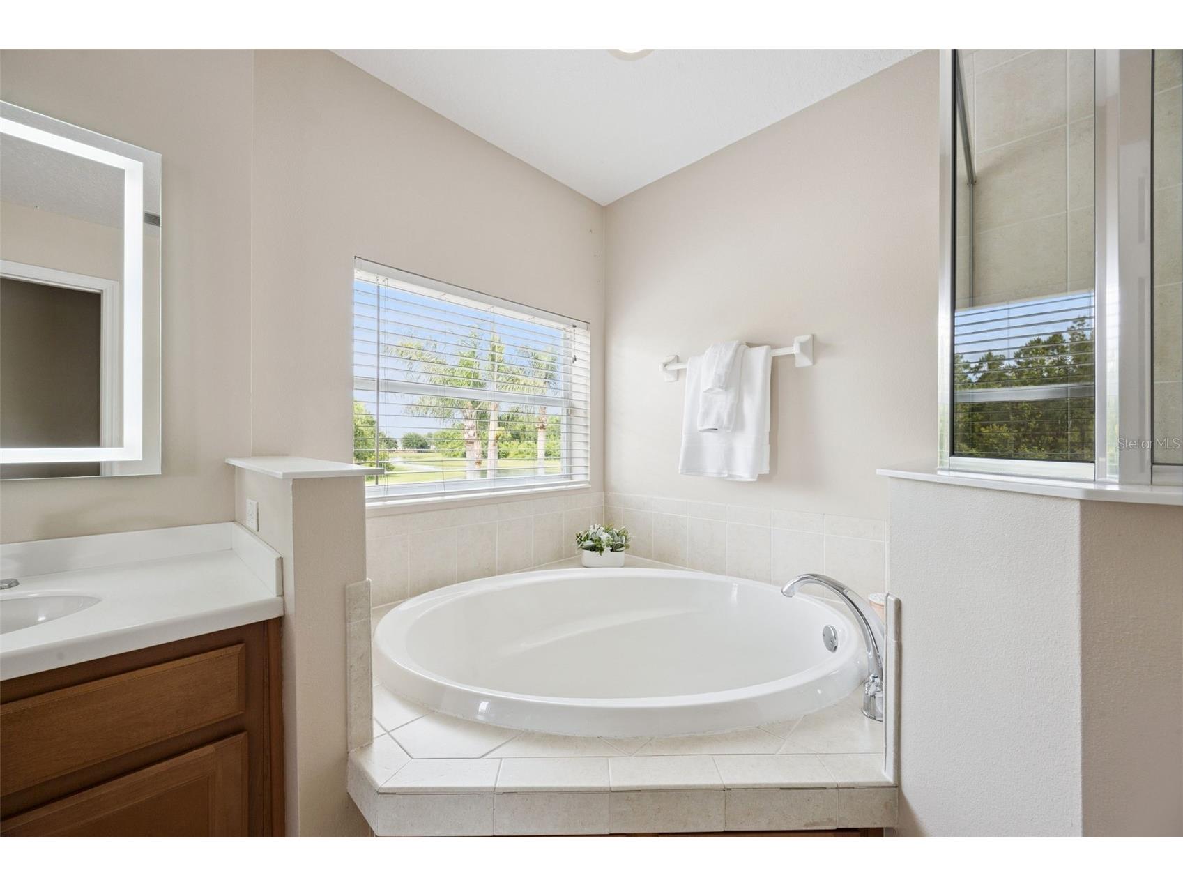 10227 Sandy Marsh Lane Orlando FL 32832 O6404252 image55