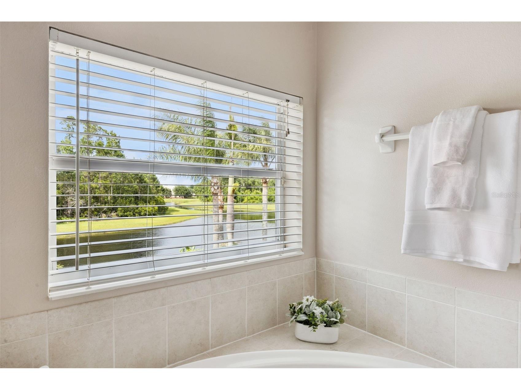 10227 Sandy Marsh Lane Orlando FL 32832 O6404252 image56