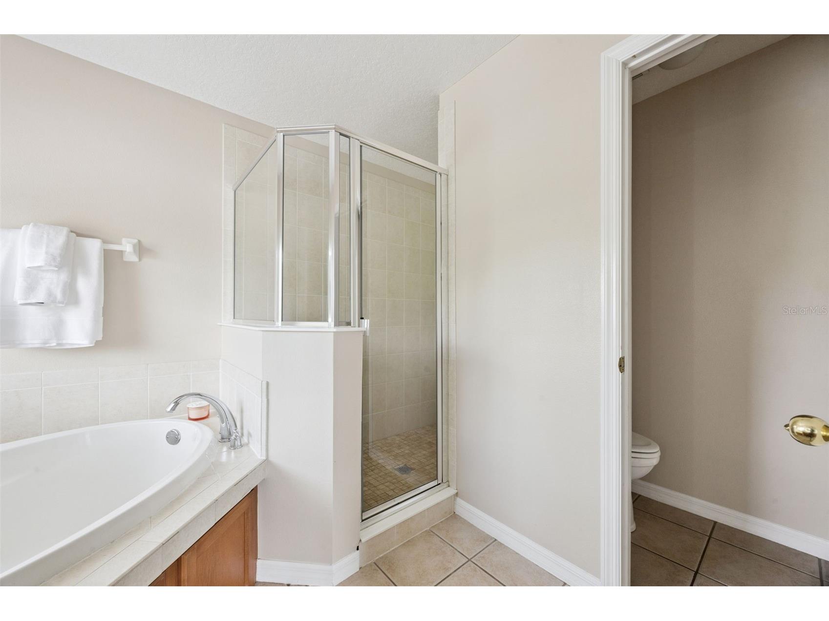 10227 Sandy Marsh Lane Orlando FL 32832 O6404252 image57