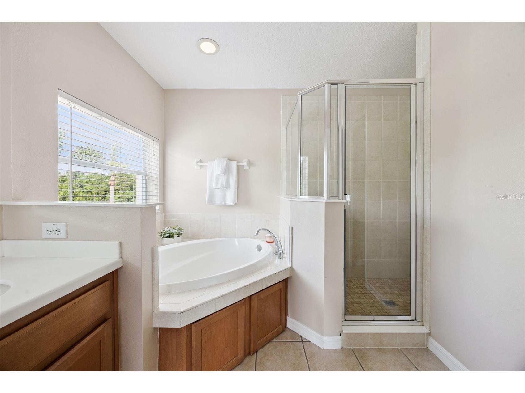 10227 Sandy Marsh Lane Orlando FL 32832 O6404252 image58