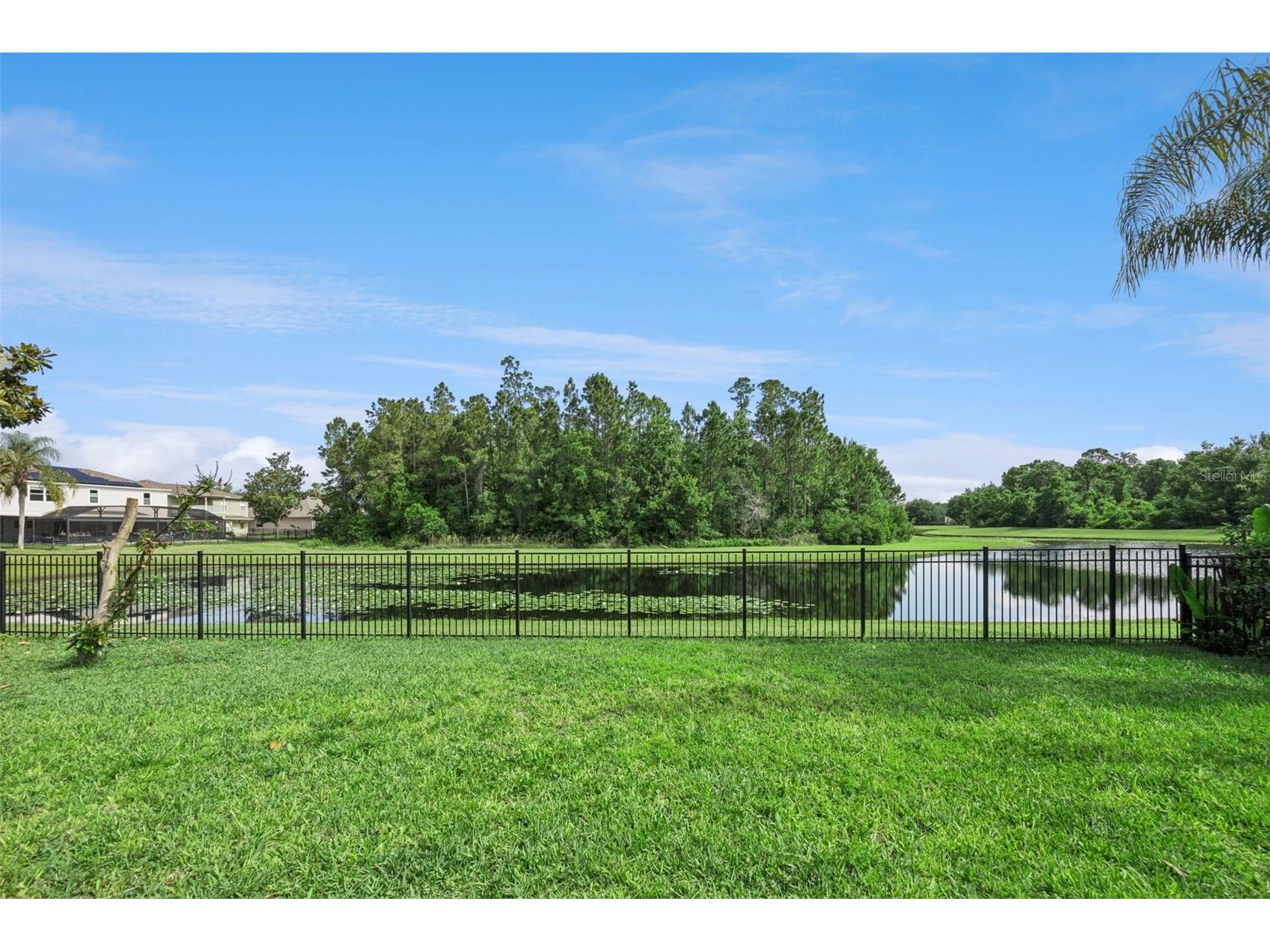 10227 Sandy Marsh Lane Orlando FL 32832 O6404252 image78