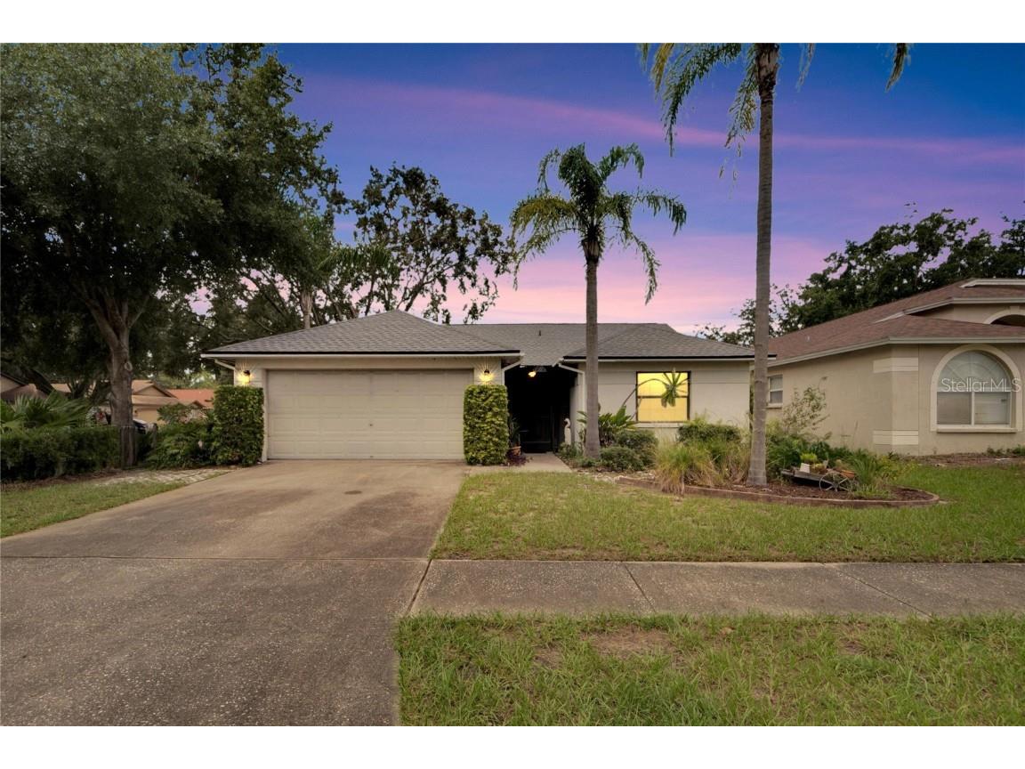 10228 Allenwood Drive Riverview FL 33569 TB8300462 image1