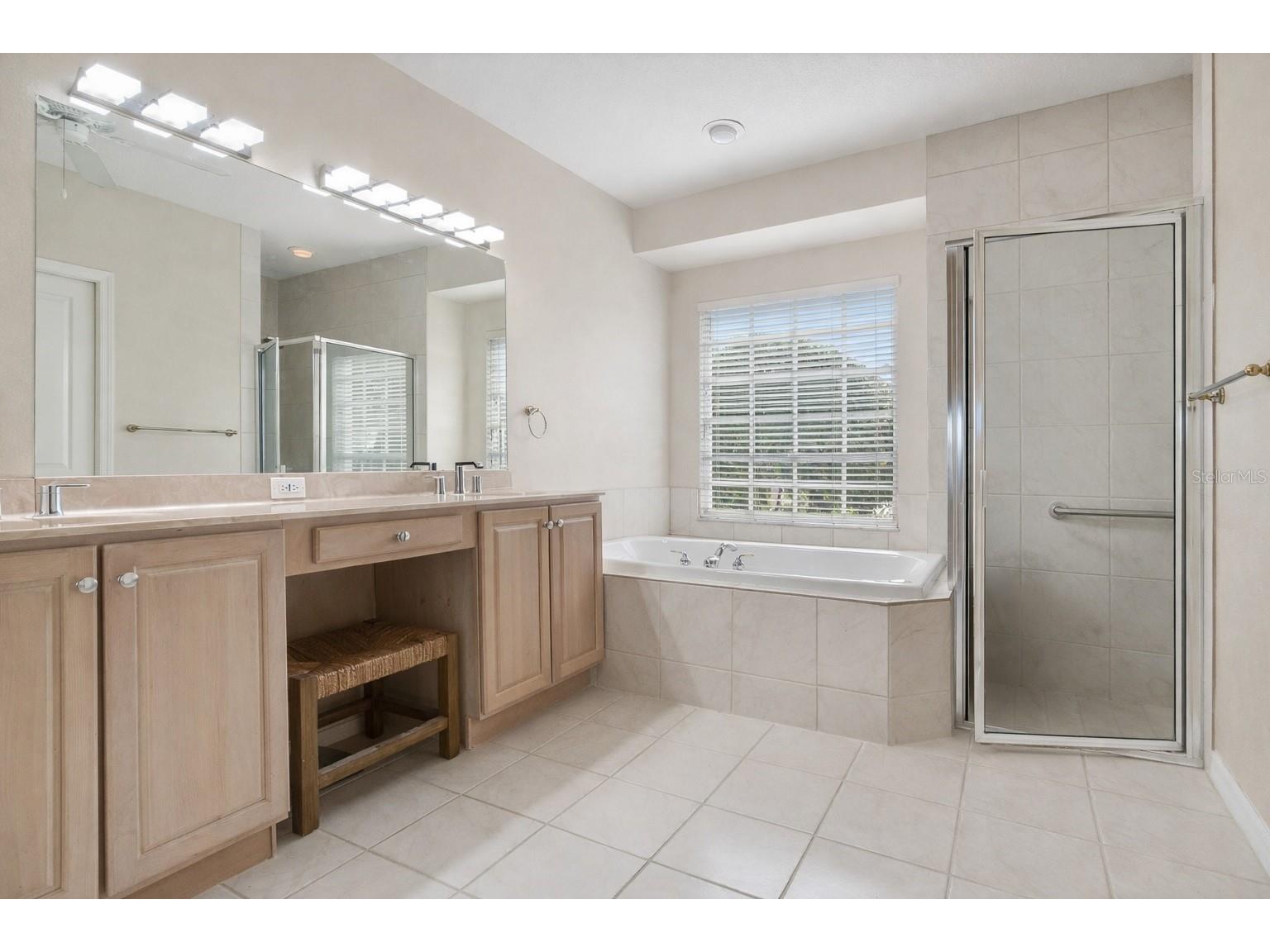10228 Estuary Drive Tampa FL 33647 TB8476926 image38