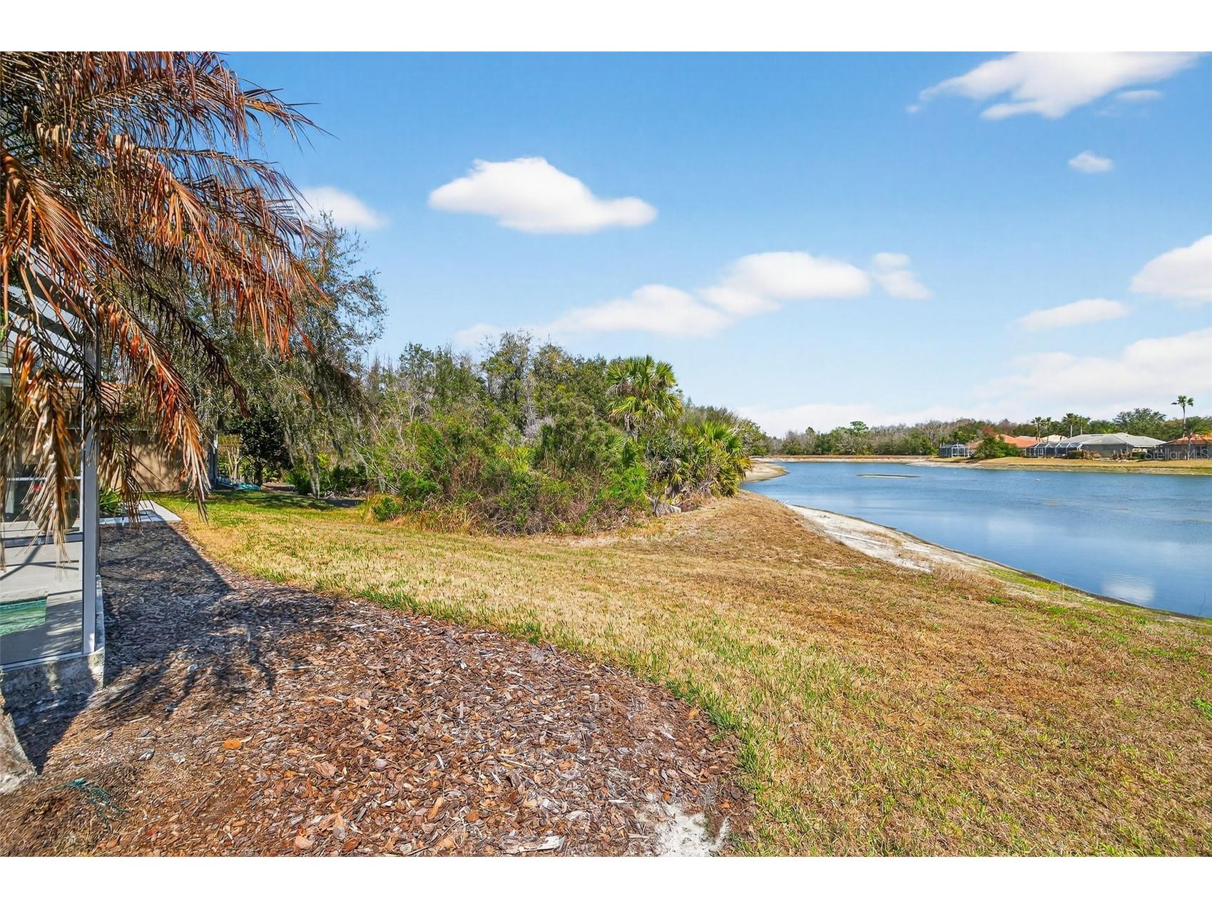 10228 Estuary Drive Tampa FL 33647 TB8476926 image52