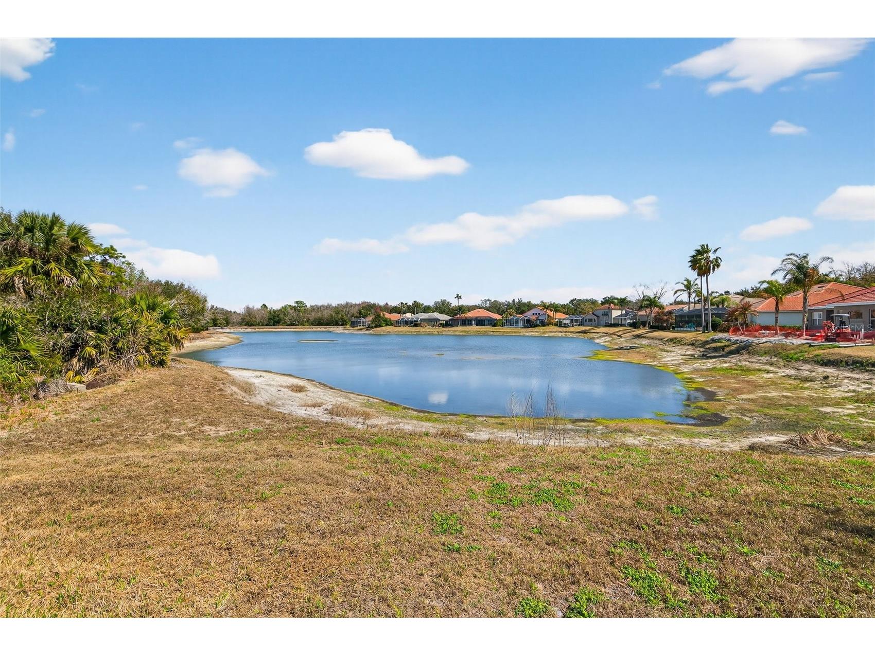 10228 Estuary Drive Tampa FL 33647 TB8476926 image53