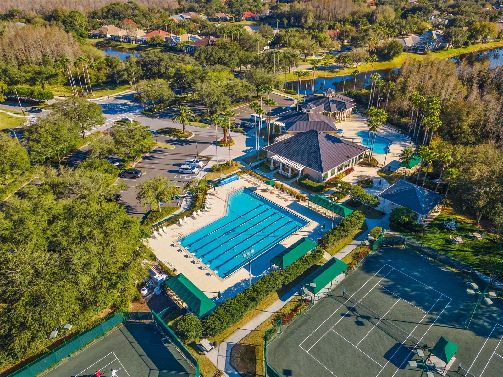 10228 Estuary Drive Tampa FL 33647 TB8476926 image57