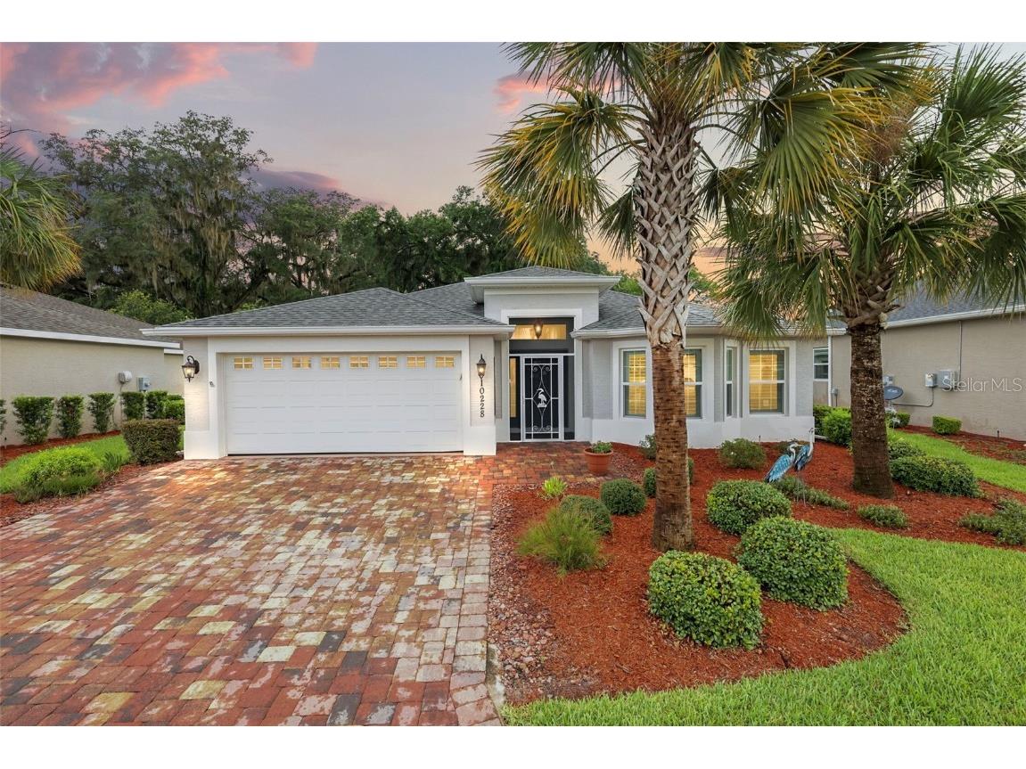 10228 Julia Isles Avenue Oxford FL 34484 G5071204 image1