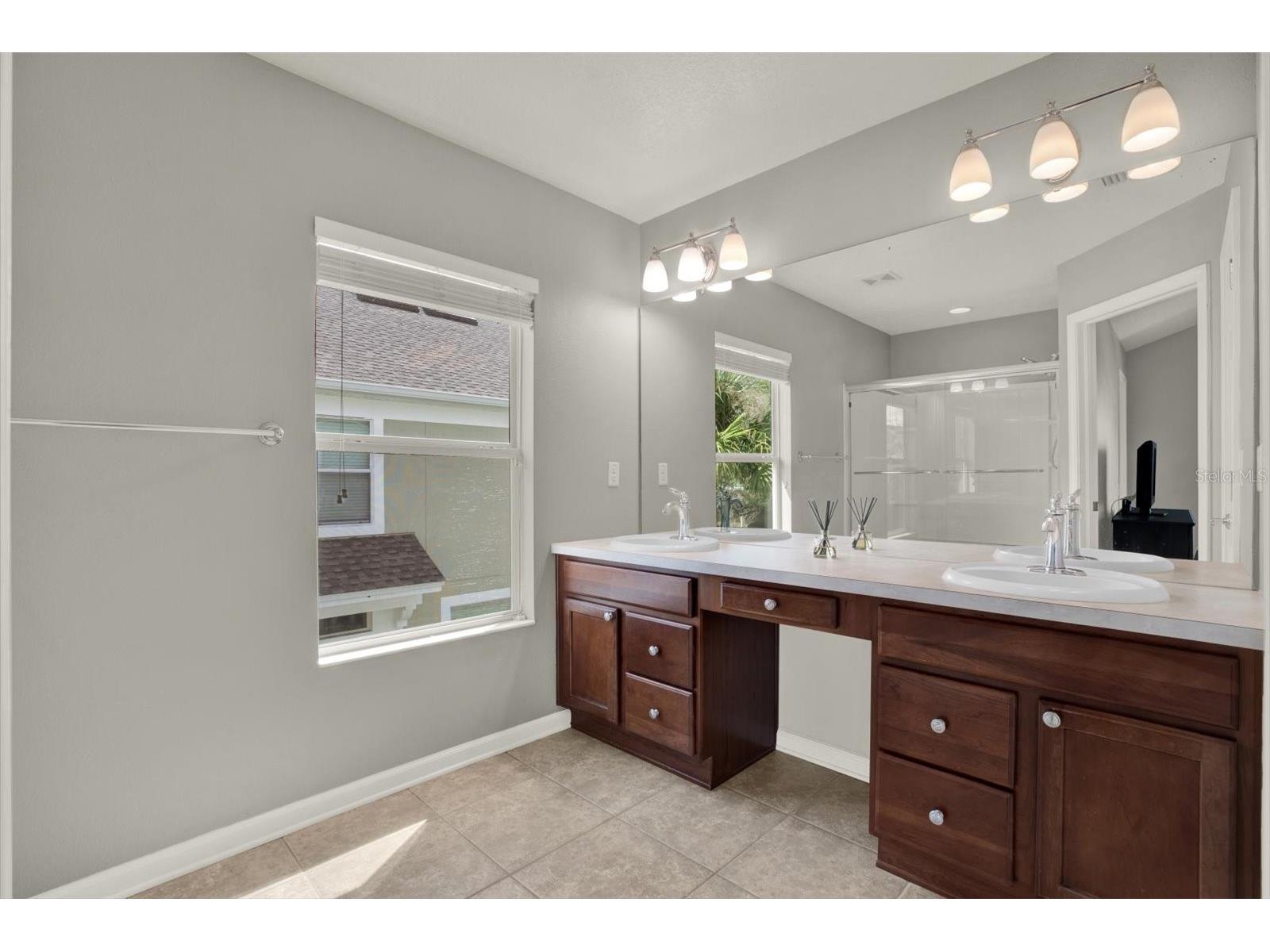 10228 Red Currant Court Riverview FL 33578 TB8482912 image22