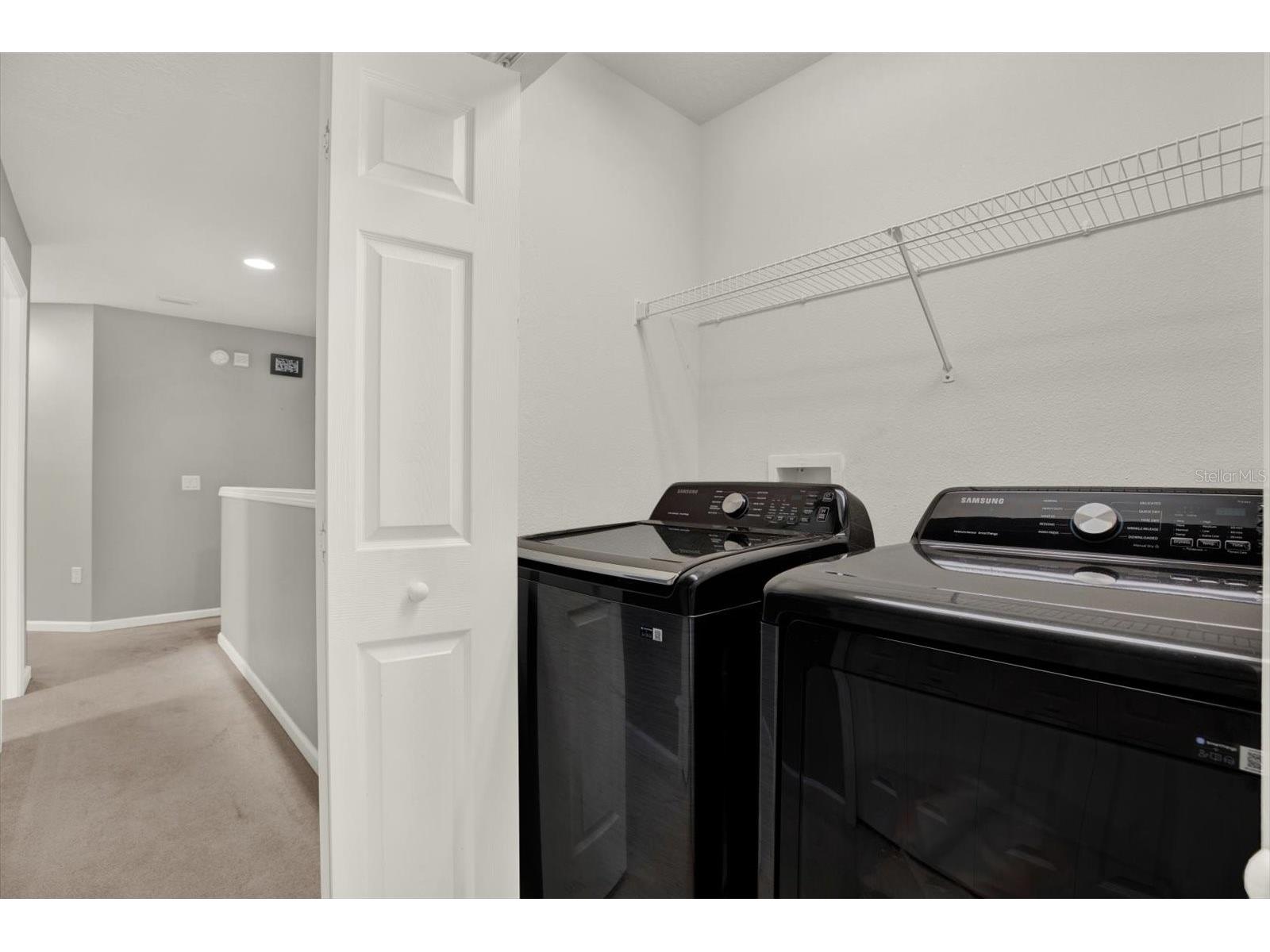 10228 Red Currant Court Riverview FL 33578 TB8482912 image30