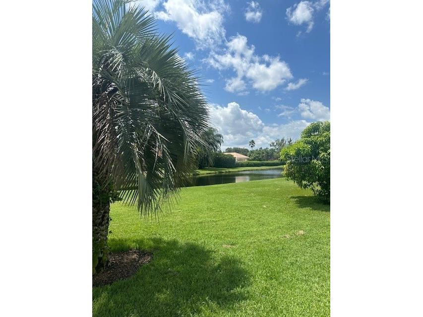 10228 Silverado Circle Lakewood Ranch FL 34202 A4621441 image19