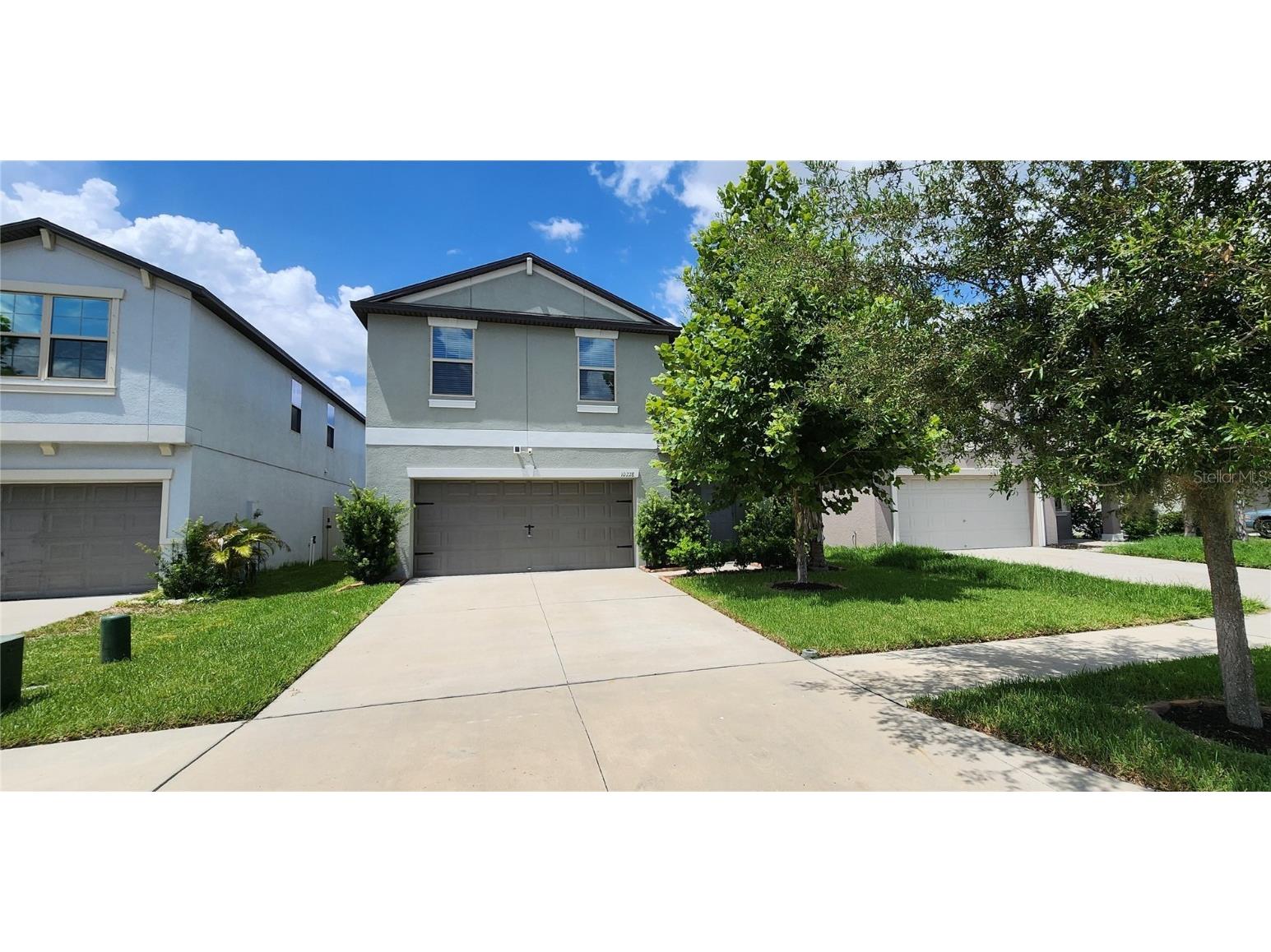 10228 White Linen Avenue Riverview FL 33578 T3542036 image1