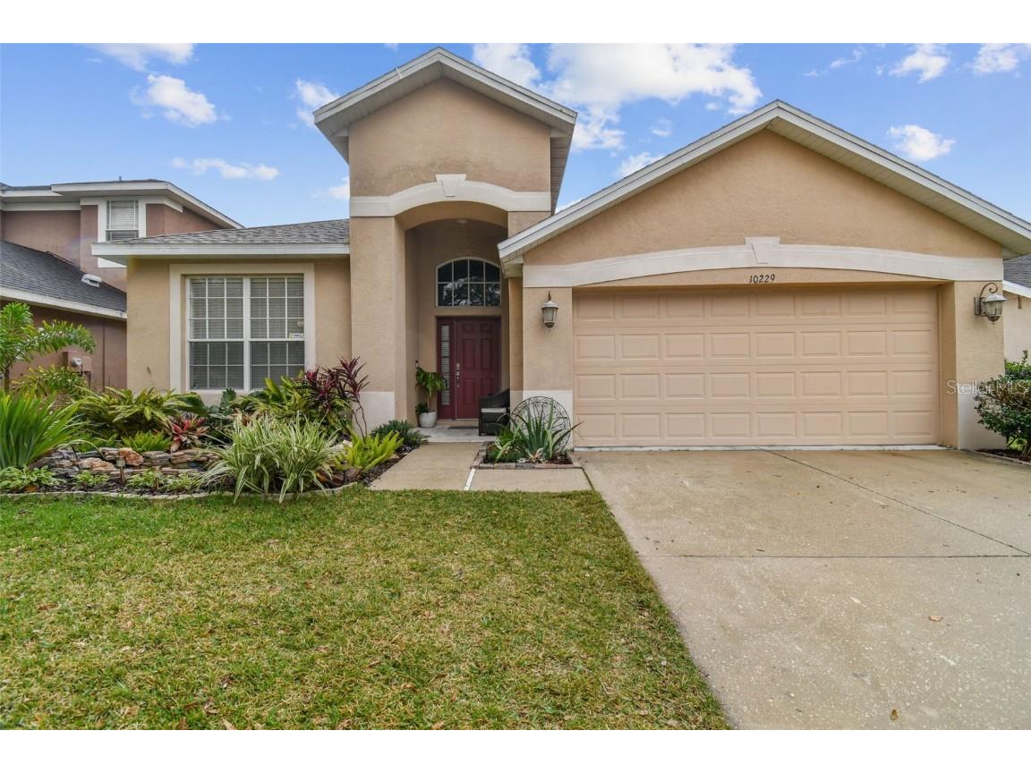 10229 Avelar Ridge Drive Riverview FL 33578 T3421805 image1