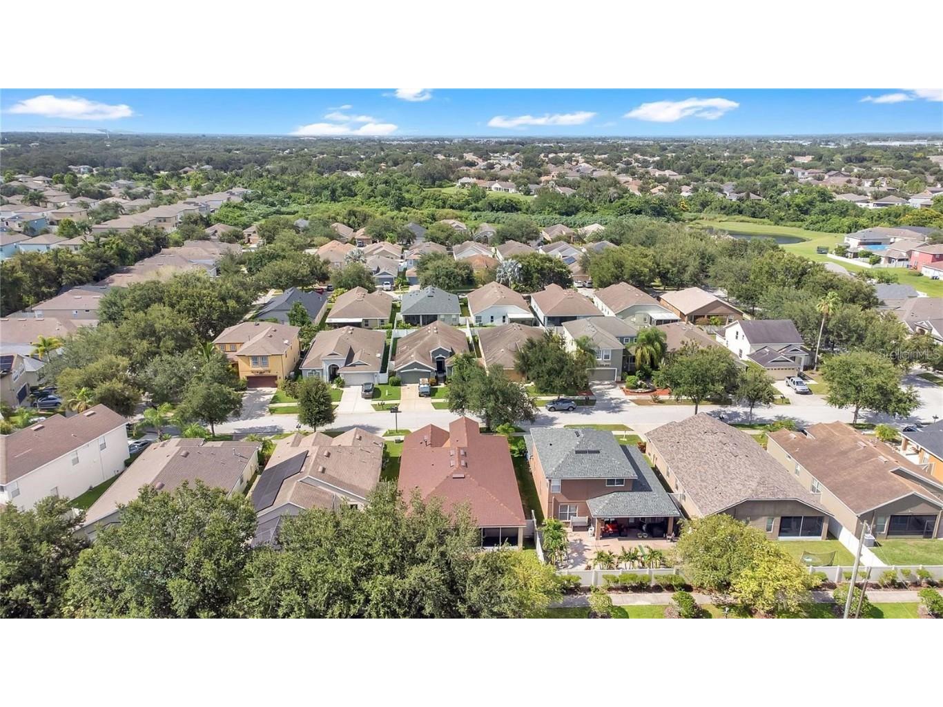 10229 Avelar Ridge Drive Riverview FL 33578 TB8446658 image34