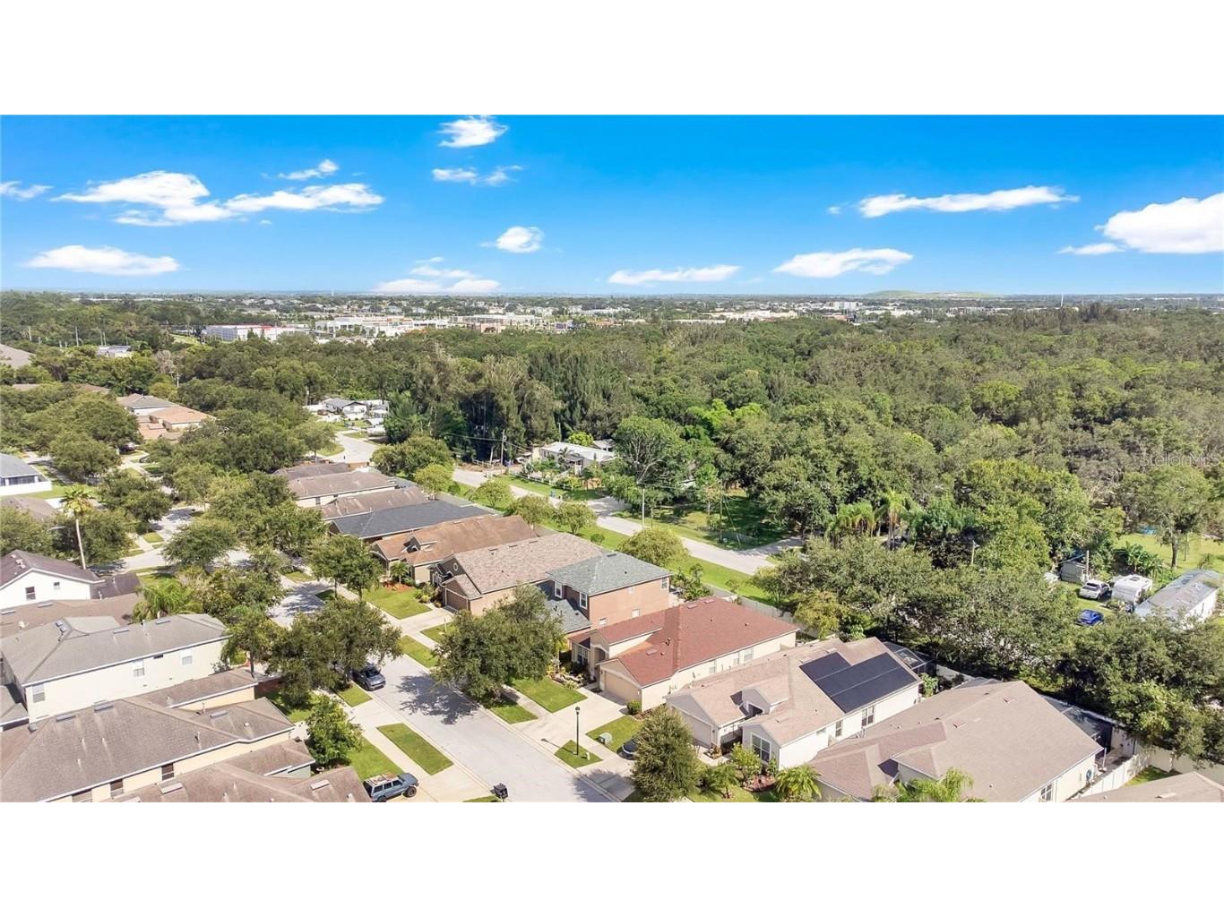 10229 Avelar Ridge Drive Riverview FL 33578 TB8446658 image36