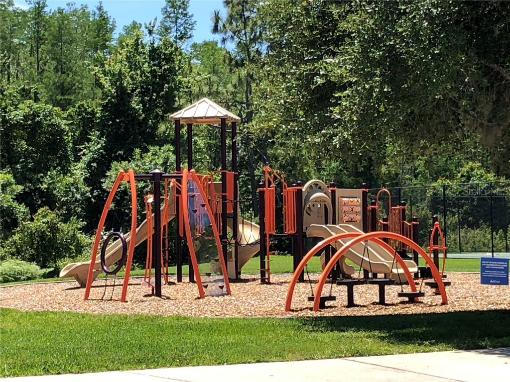 10229 Lake District Lane #20 Orlando FL 32832 O6351132 image36