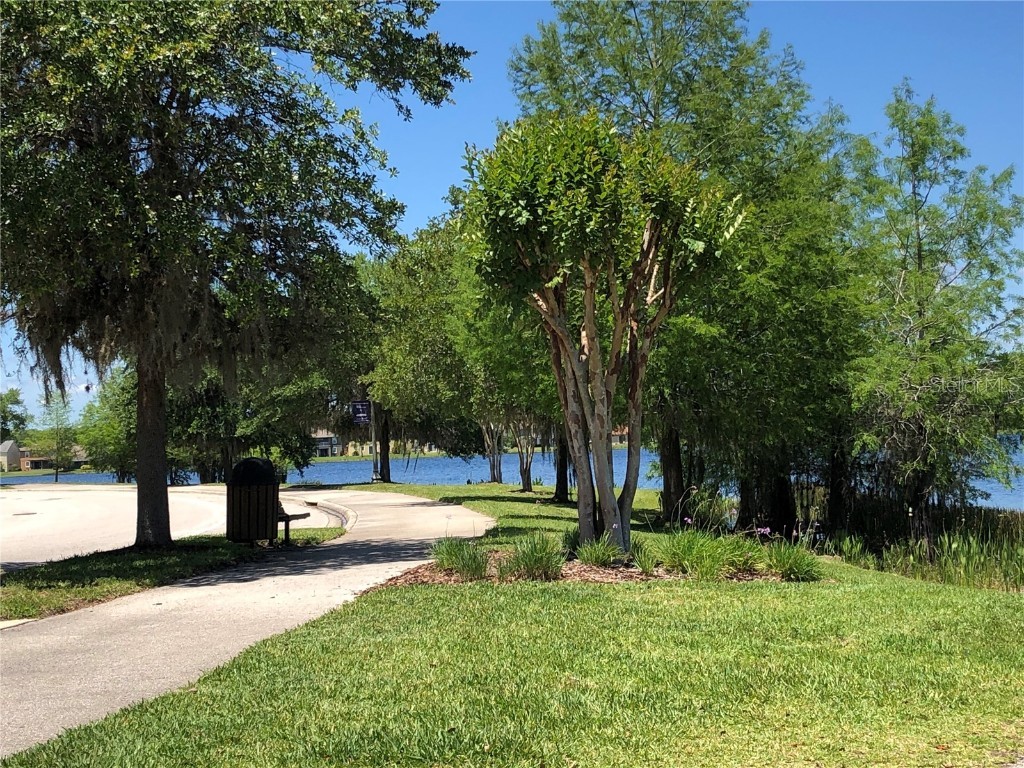 10229 Lake District Lane #20 Orlando FL 32832 O6351132 image41